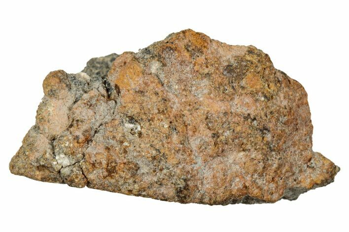 Howardite Meteorite ( g) - Bechar #348282